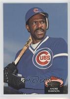 Andre Dawson