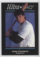 Jose Canseco #/250,000