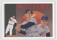 Ted Williams