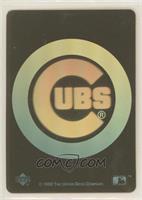 Chicago Cubs Team