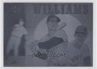 Ted Williams [EX to NM]