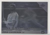 Ivan Calderon [EX to NM]