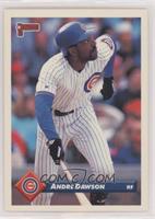 Andre Dawson