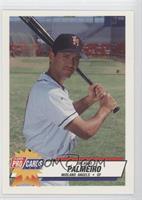 Orlando Palmeiro