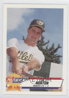 1993 Fleer ProCards Minor League - [Base] #803 - Rick Norton