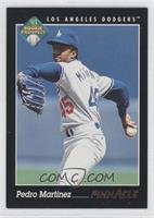 Rookie Prospect - Pedro Martinez