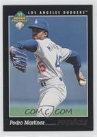 Rookie Prospect - Pedro Martinez