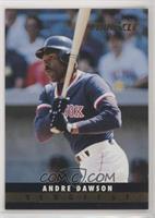 Andre Dawson