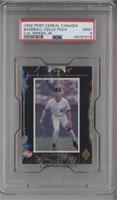 Cal Ripken Jr. [PSA 9 MINT]