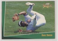 Andre Dawson