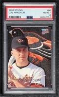 Cal Ripken Jr. [PSA 8 NM‑MT]