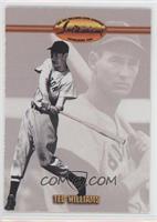 Ted Williams (Background Photo with Bat)
