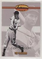 Ted Williams (Background Photo with Bat)