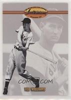 Ted Williams (Background Photo with Bat)