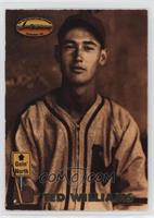 Ted Williams [EX to NM]