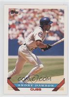 Andre Dawson