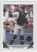 Carlton Fisk