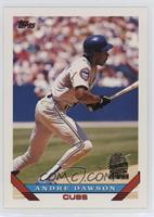 Andre Dawson