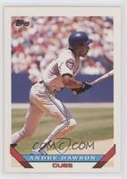 Andre Dawson