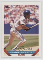 Andre Dawson