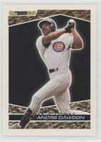 Andre Dawson