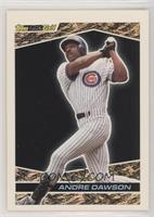 Andre Dawson