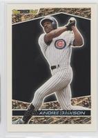 Andre Dawson