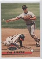 Cal Ripken Jr.