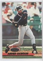 Andre Dawson