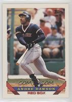 Andre Dawson