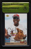 Dmitri Young [BAS Authentic]