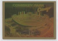 Comiskey Park