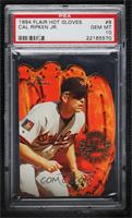 Cal Ripken Jr. [PSA 10 GEM MT]