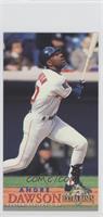 Andre Dawson