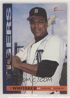 Lou Whitaker [EX to NM]