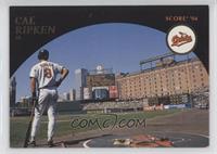 Cal Ripken Jr. [EX to NM]