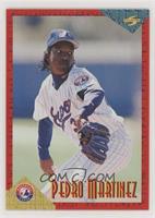 Pedro Martinez [EX to NM]