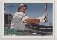 Ozzie Guillen [EX to NM]