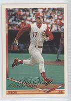 Chris Sabo