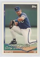 Gary Gaetti