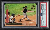 Cal Ripken Jr. [PSA 10 GEM MT]