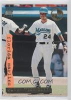 Florida Marlins Team