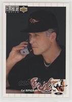 Cal Ripken Jr. [EX to NM]