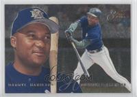 Darryl Hamilton