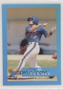 1995 Publix Super Market St. Lucie Mets - [Base] - Blank Back #16 - Al Hammell