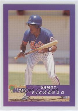 1995 Publix Super Market St. Lucie Mets - [Base] #27 - Sandy Pichardo