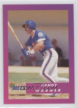 1995 Publix Super Market St. Lucie Mets - [Base] #32 - Randy Warner