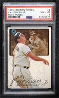 Cal Ripken Jr. [PSA 8 NM‑MT]