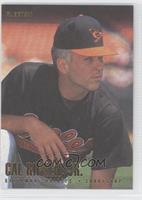 Cal Ripken Jr.