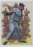 Randy Johnson